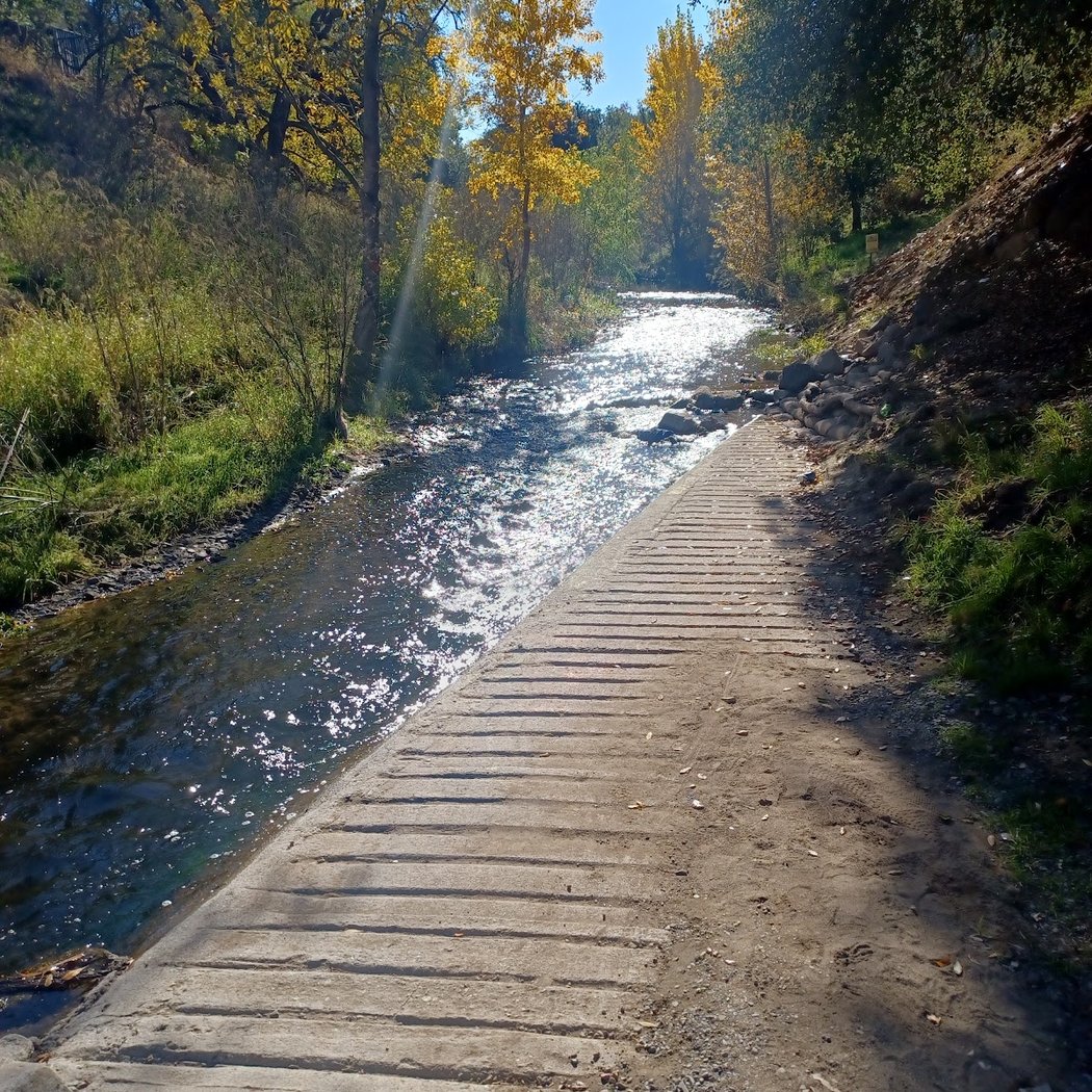 Los Gatos Trail 2