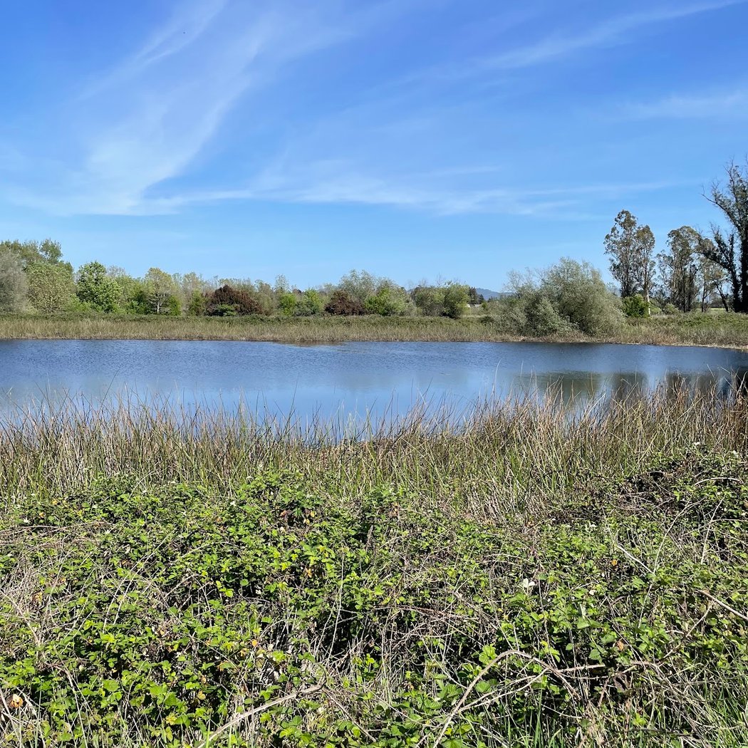 Laguna de Santa Rosa Trail 3
