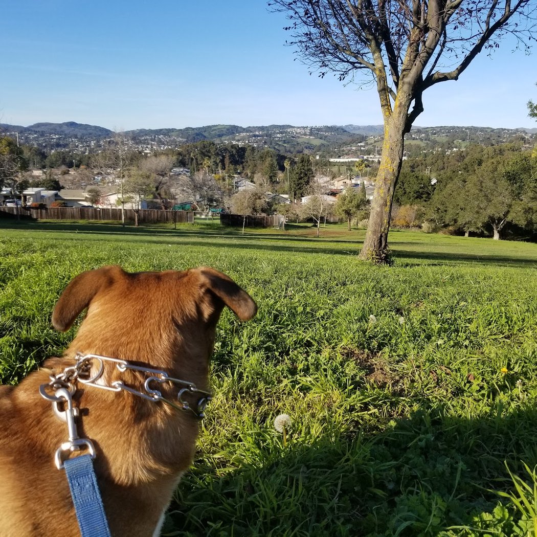 Lakeridge Park 2