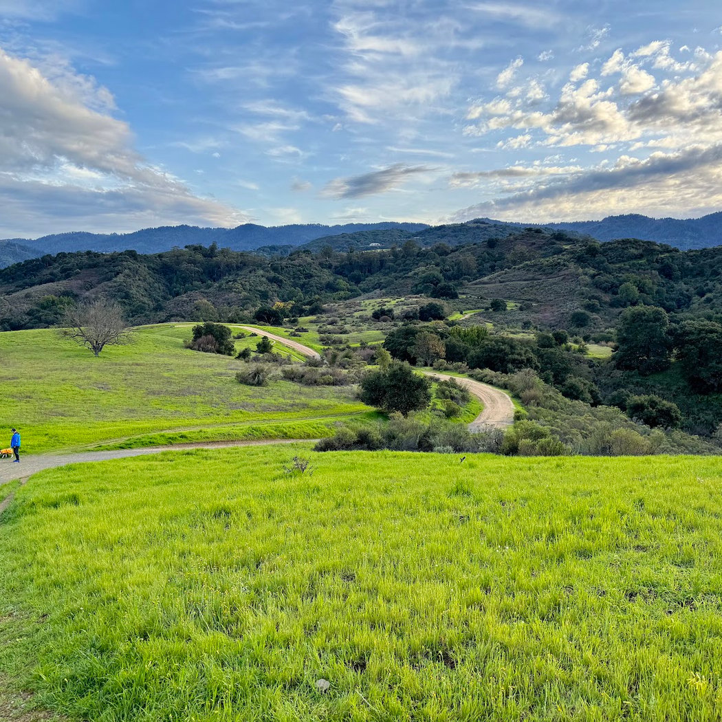 Fremont Older Open Space Preserve 1
