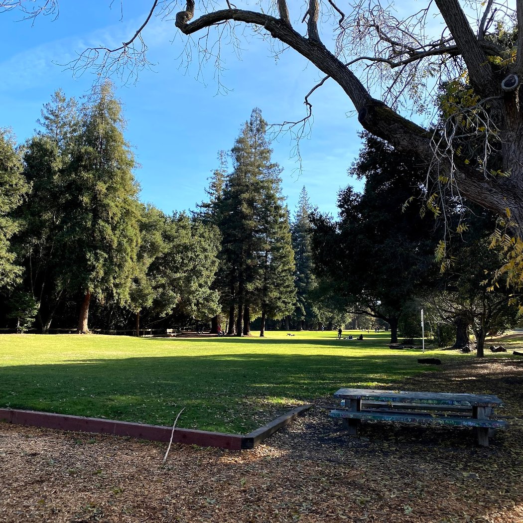 Palo Alto Tree Care Workday & Training #3 3