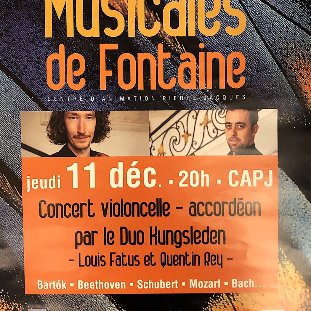 Le duo Kungsleden accordéon et violoncelle en concert 1