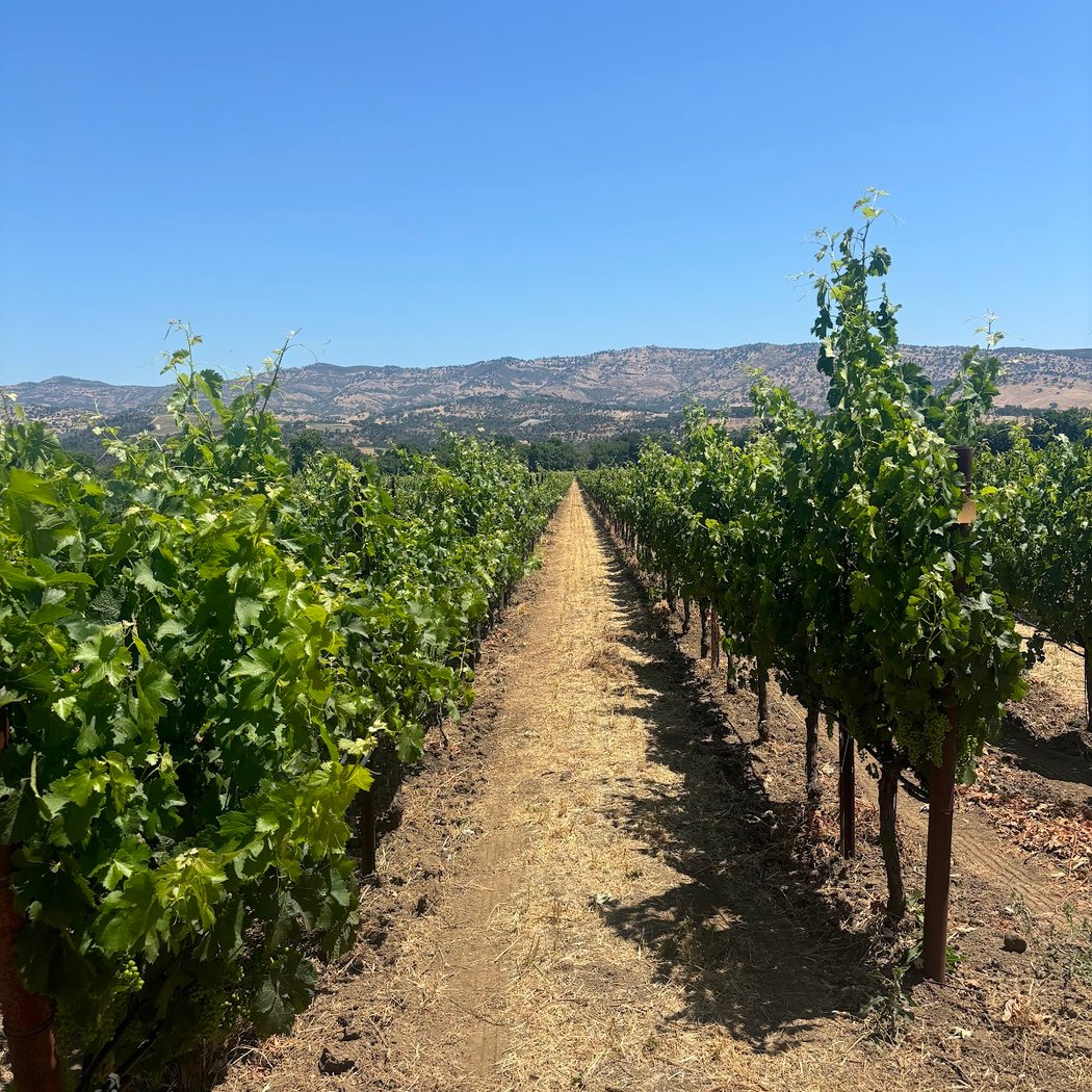 Materra | Cunat Family Vineyards 3