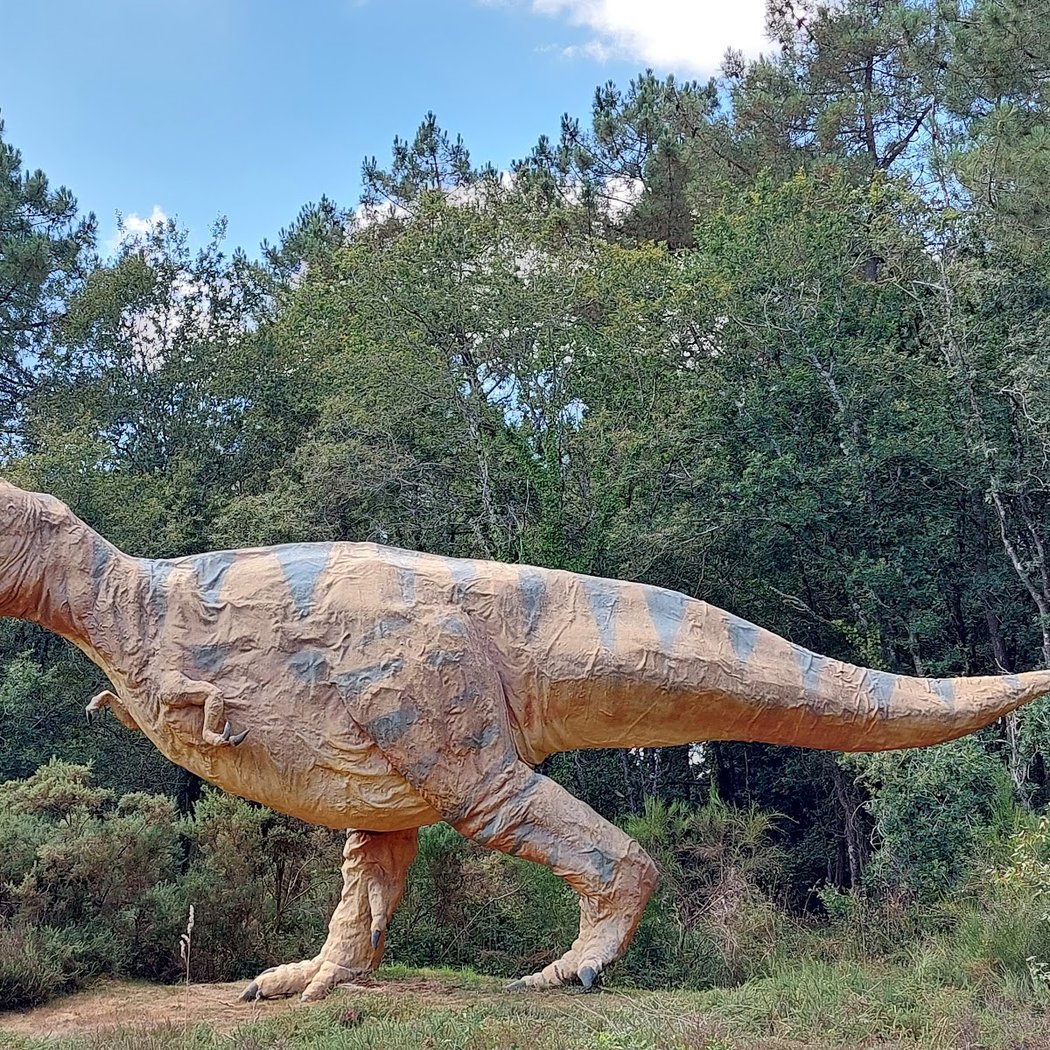 Parc De Préhistoire De Bretagne 2