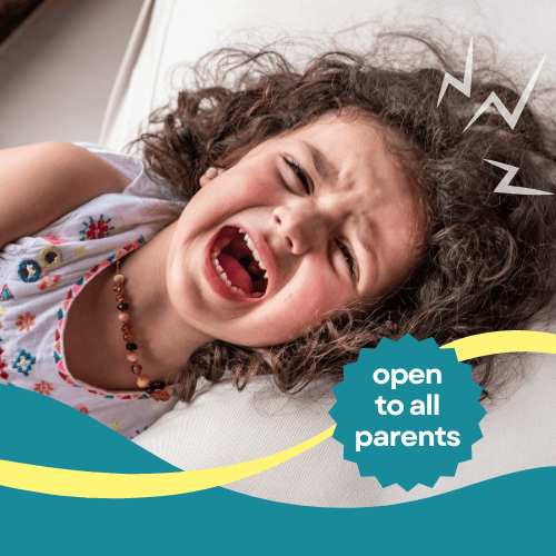 Channeling Challenging Behaviors at Home 1