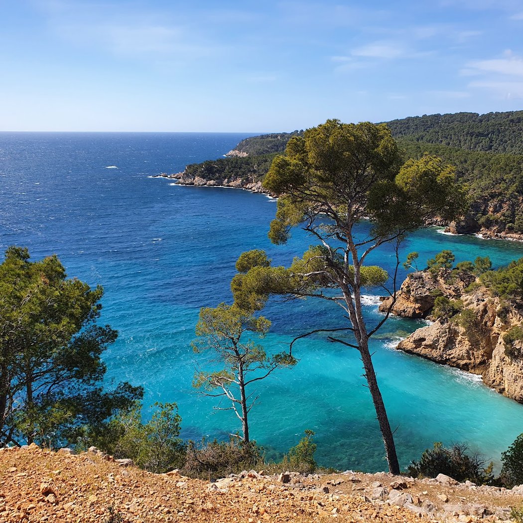 Calanque de Port d'Alon 1