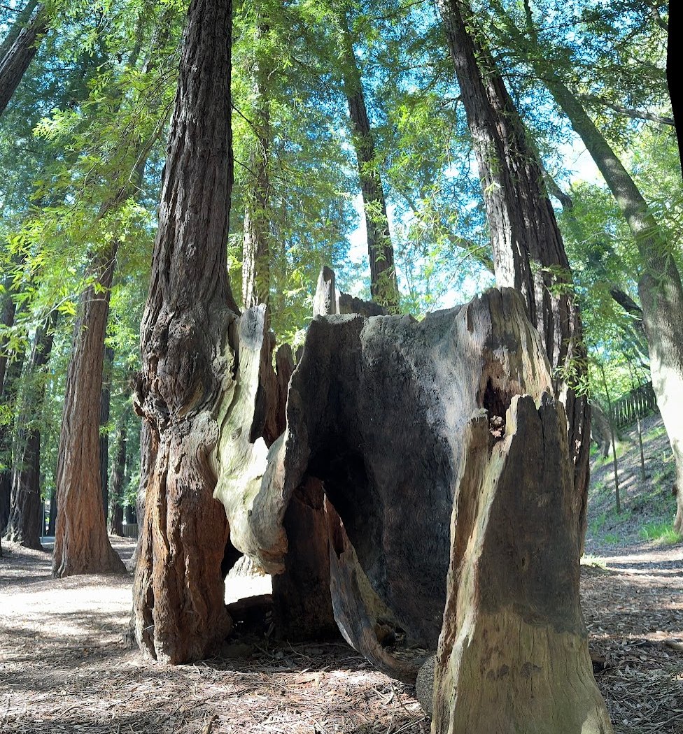Dolliver Park 3