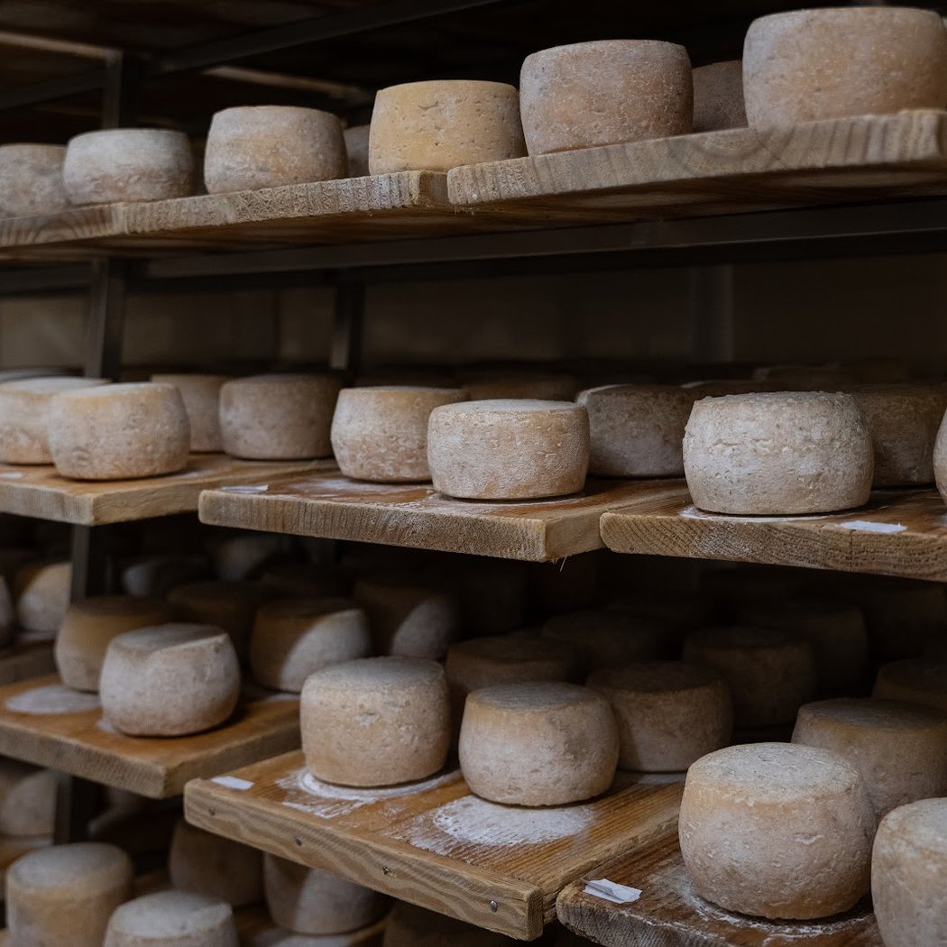 Tome de Couëron - Fromagerie artisanale région nantaise 2