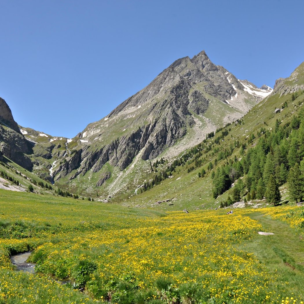 Shelter From The Orgère 3