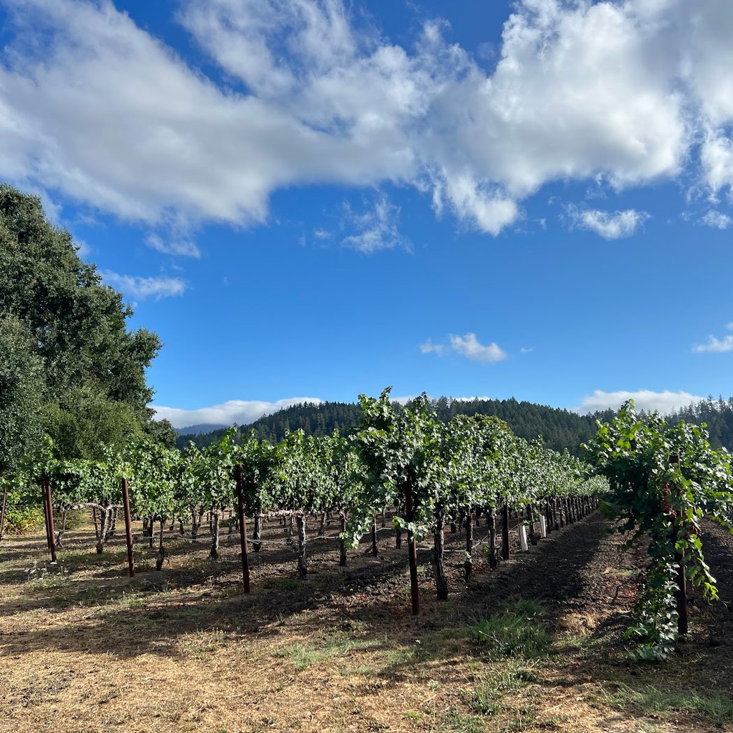 Annual Celebration of Bennett Lane Cabernet 3