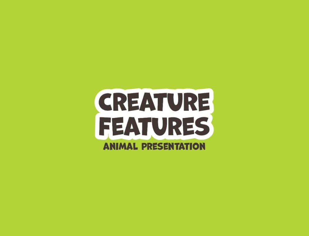 Creature Features: Turtles 1