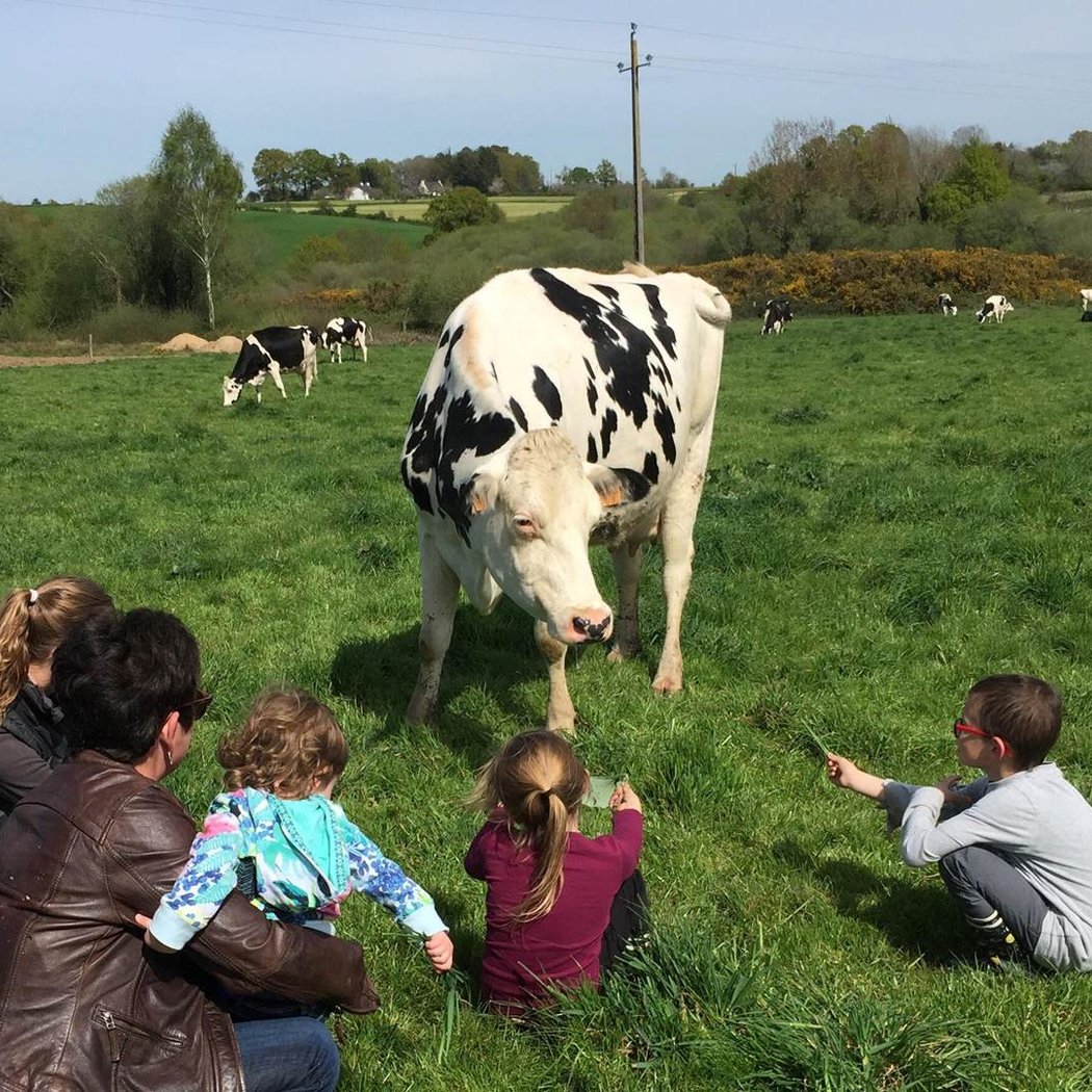 Visite guidée à la ferme 2