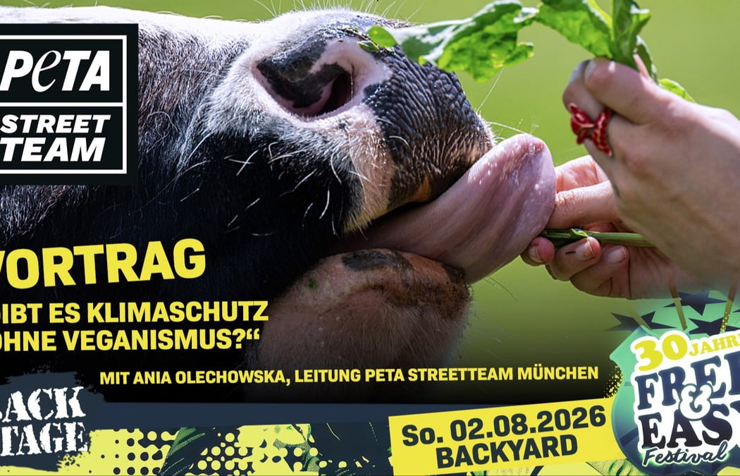 GIBT ES KLIMASCHUTZ OHNE VEGANISMUS? - PETA STREETTEAM VORTRAG