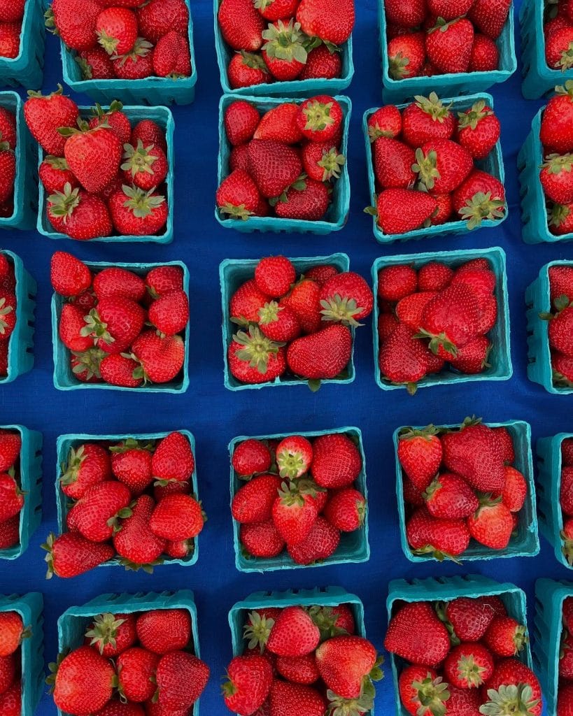 Brooklyn Borough Hall Greenmarket 1