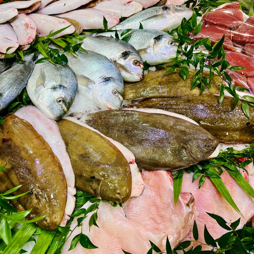 The Club Fish 1