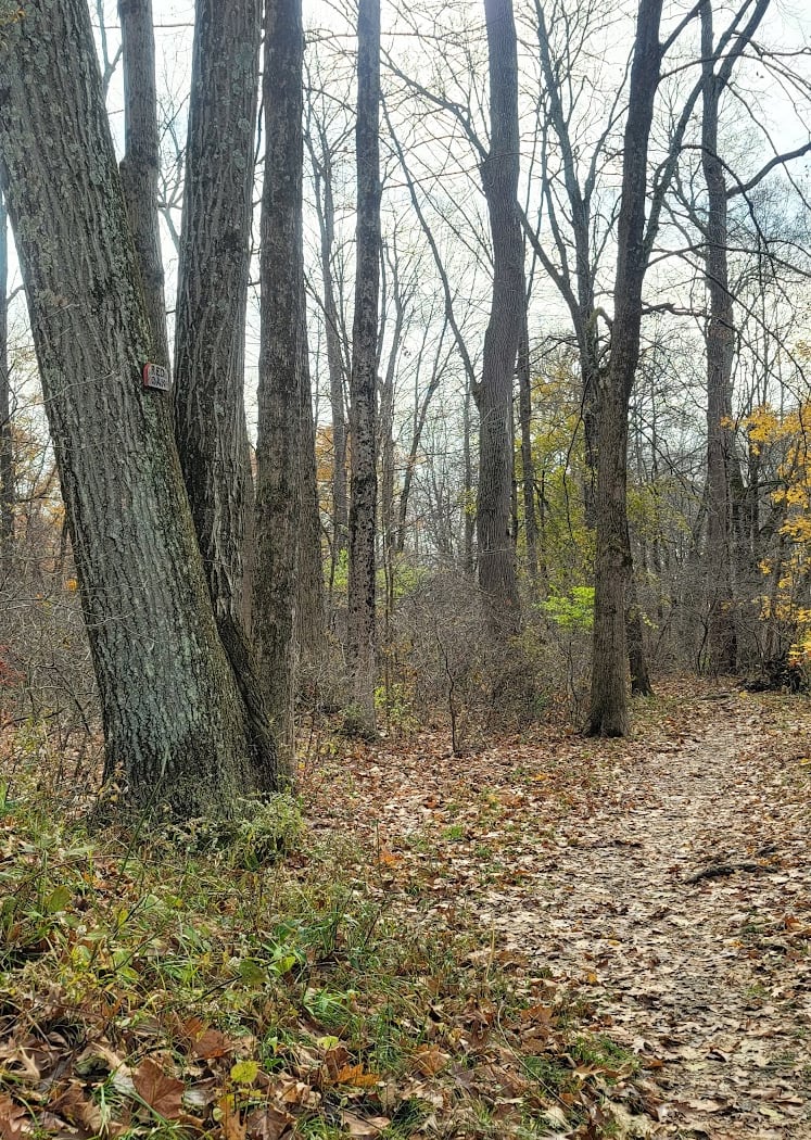 Wappinger Creek Greenway Trail 3
