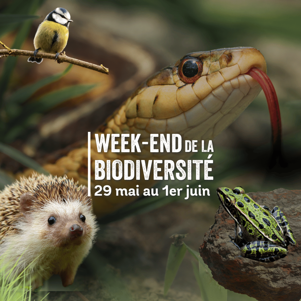 Week-end de la biodiversité 2025 1