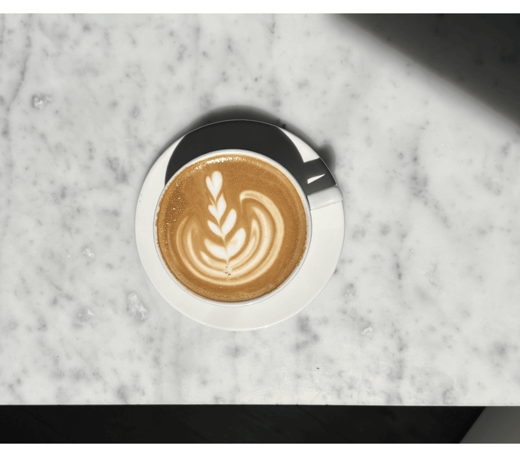 Milk Steaming and Latte Art Workshop 1