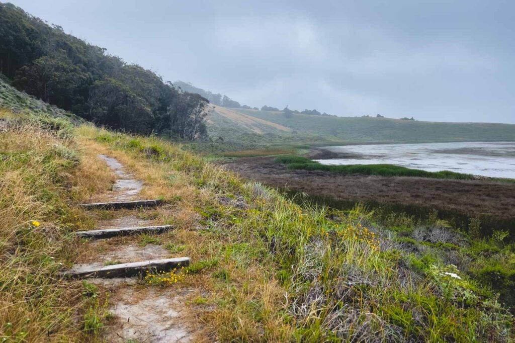 Pescadero Marsh Trail 3