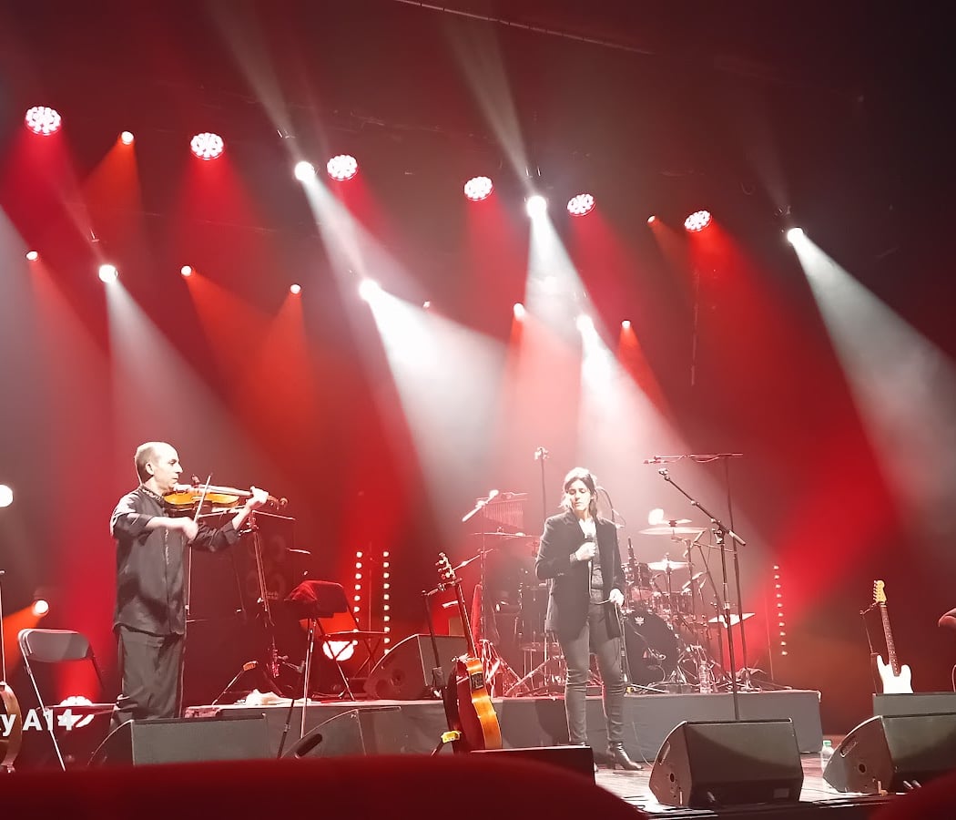 Albin de la Simone Concert 1