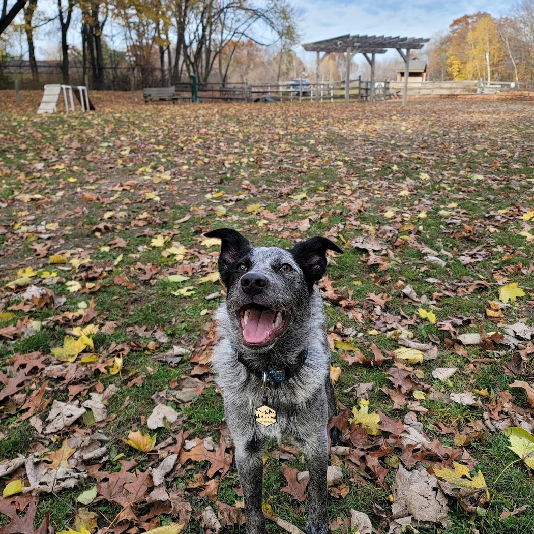 Milton Landing Dog Park 1