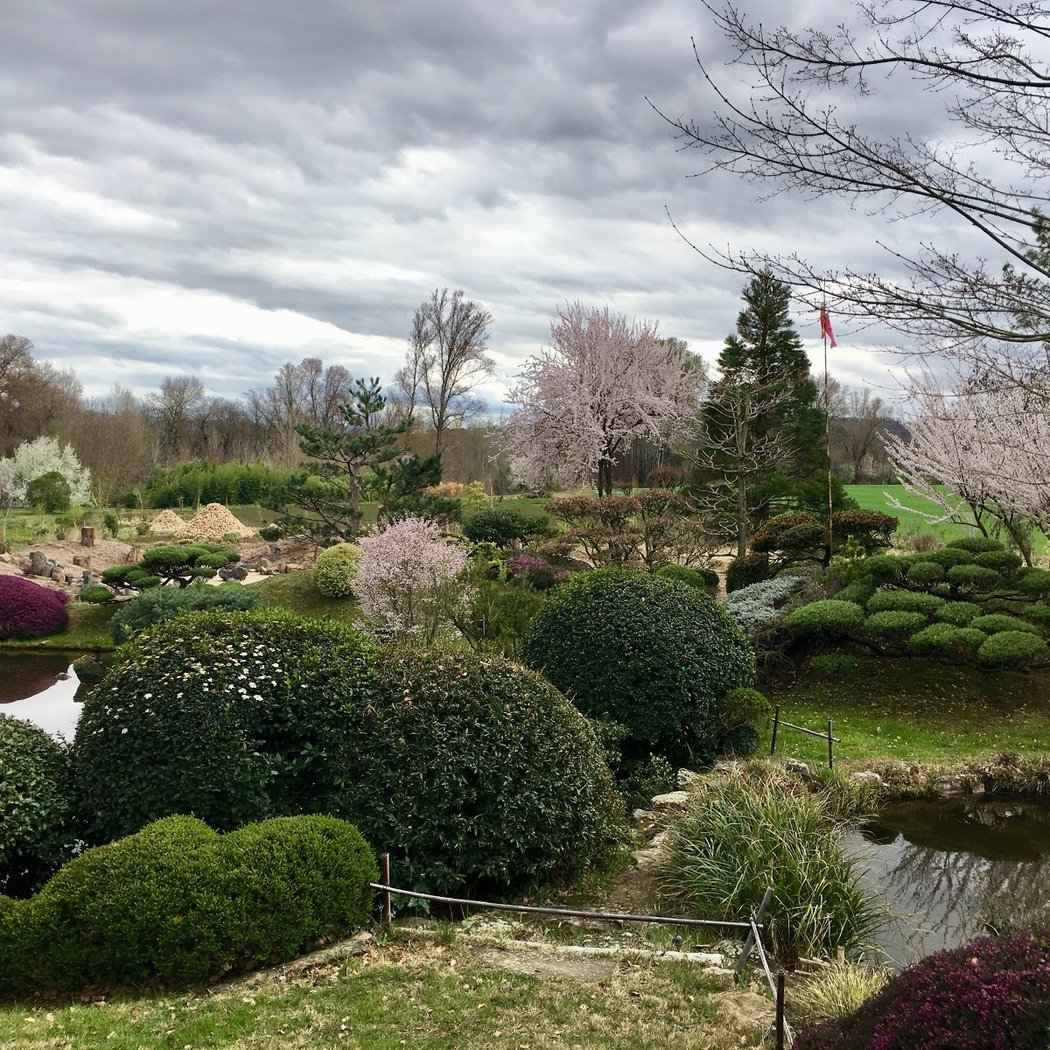 Zen d'Erik Borja Garden 2