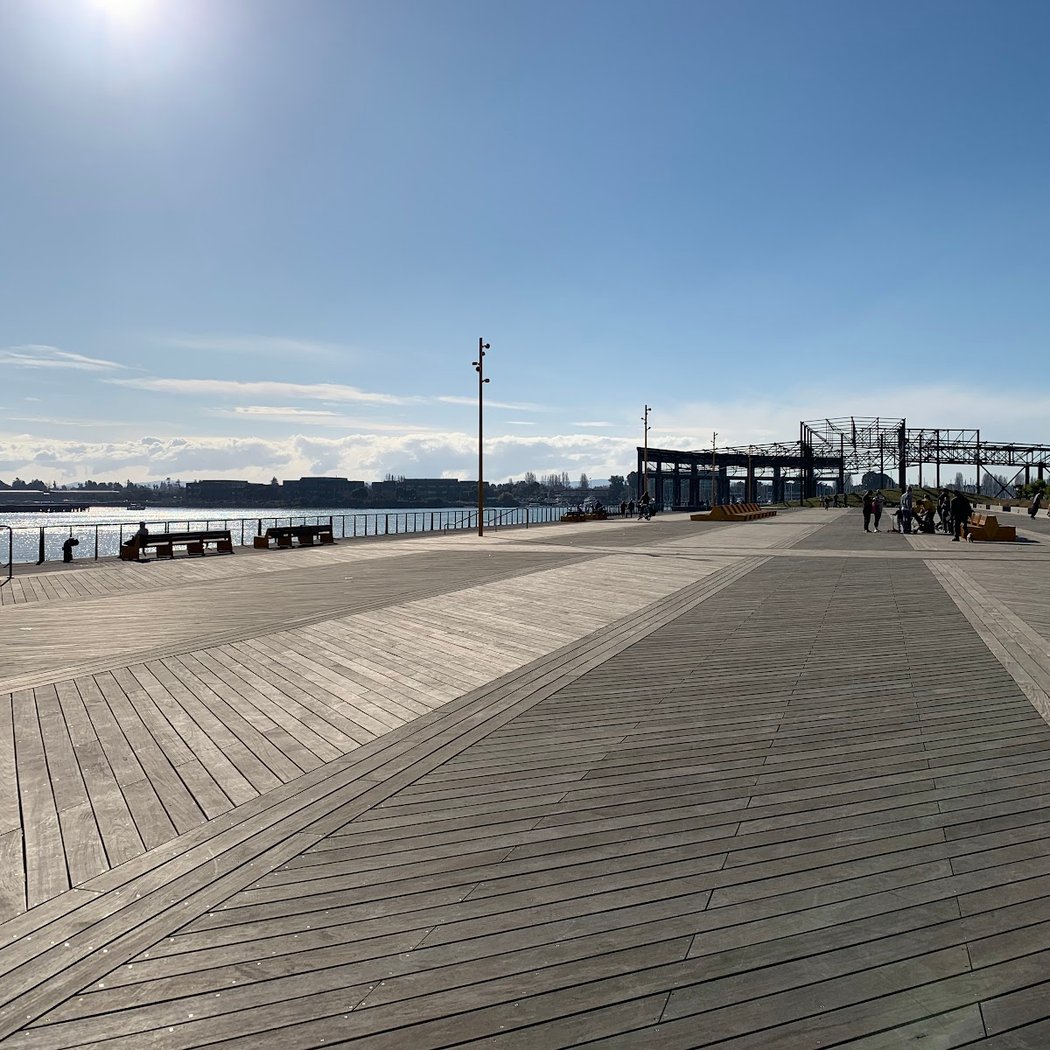 A Very Merry Brooklyn Basin Small Dog Meetup 3