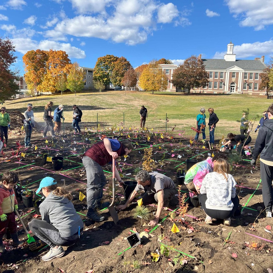 Lowell Elementary Microforest Project Community Care 1