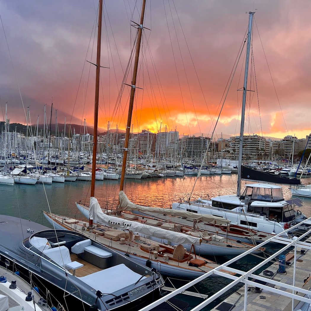 MAPFRE Copa del Rey 2026 2