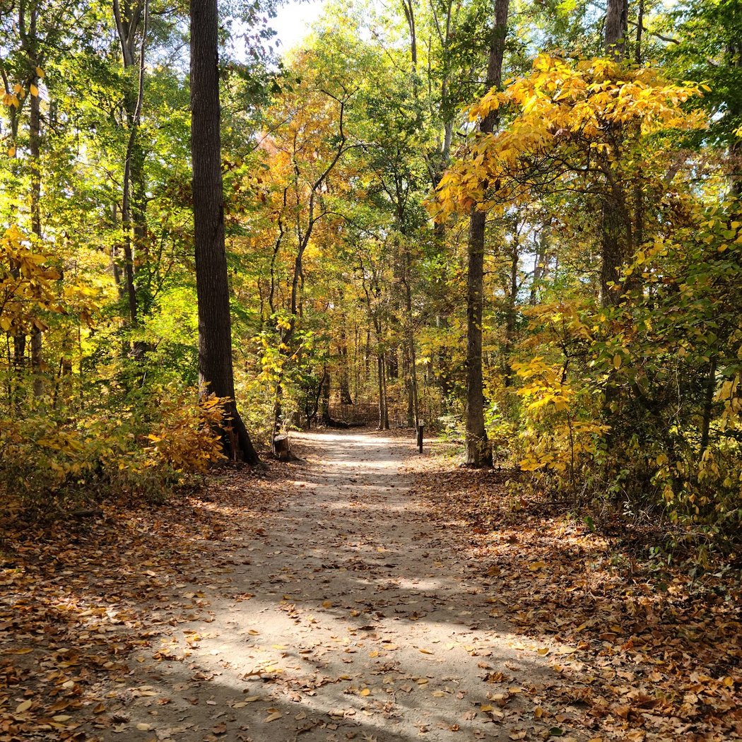 Brecknock County Park 1