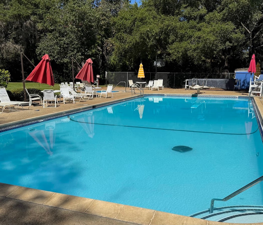 Saratoga Swimming Club 1