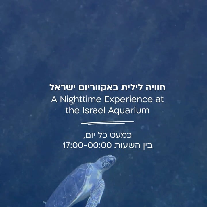A Nighttime Experience 1