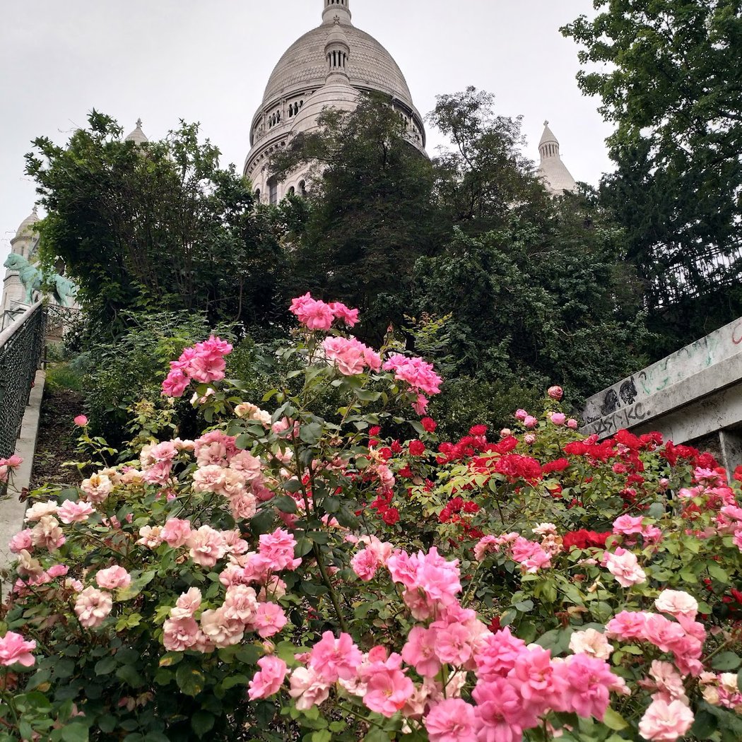 Parvis du Sacré-Cœur 1