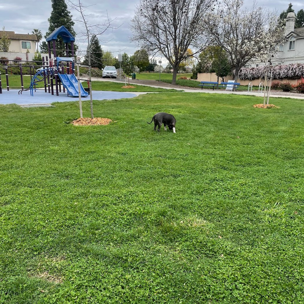 Arroyo Agua Caliente Park 2