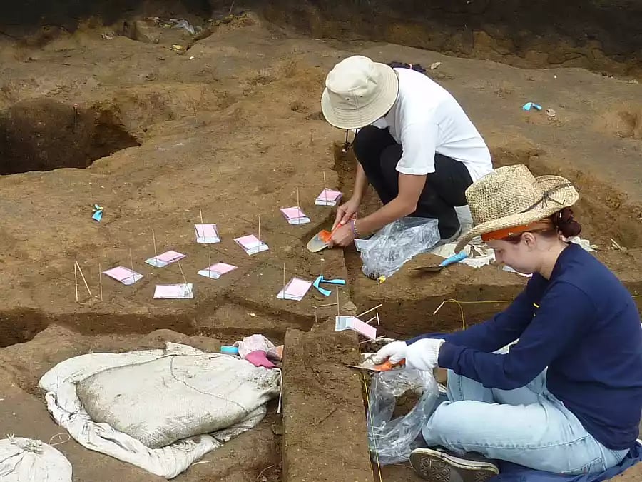 Jomon Plant Use, Landscape Practices and Site Functions: A Case Study from Northern Japan 1
