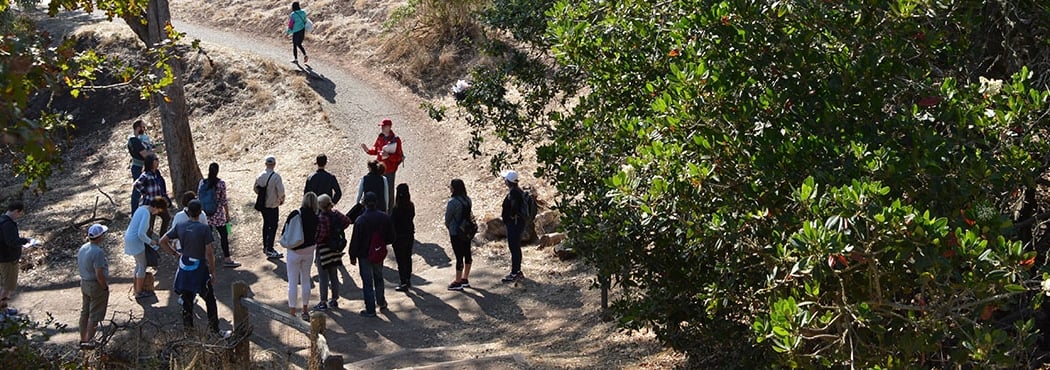 Corona Heights Stairways Tour 2