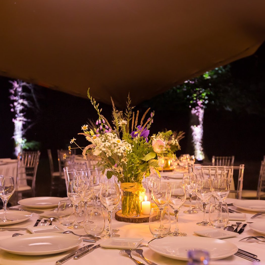 Les Etangs Des Vignes 3
