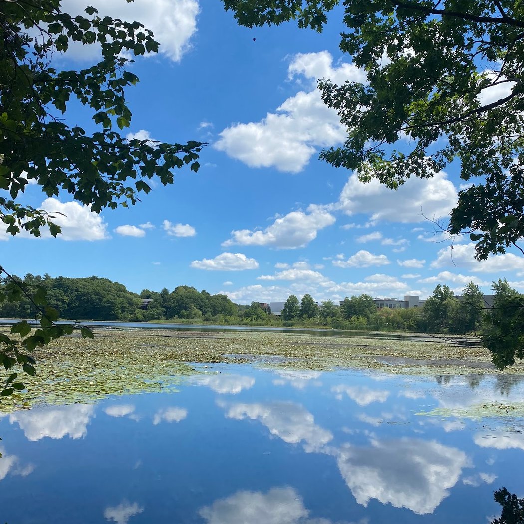 Webster Conservation Area 1
