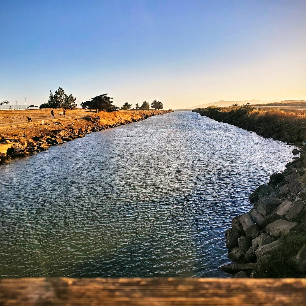 Point Isabel Regional Shoreline 2