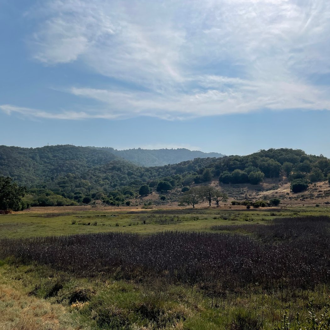 Miwok Meadows 2