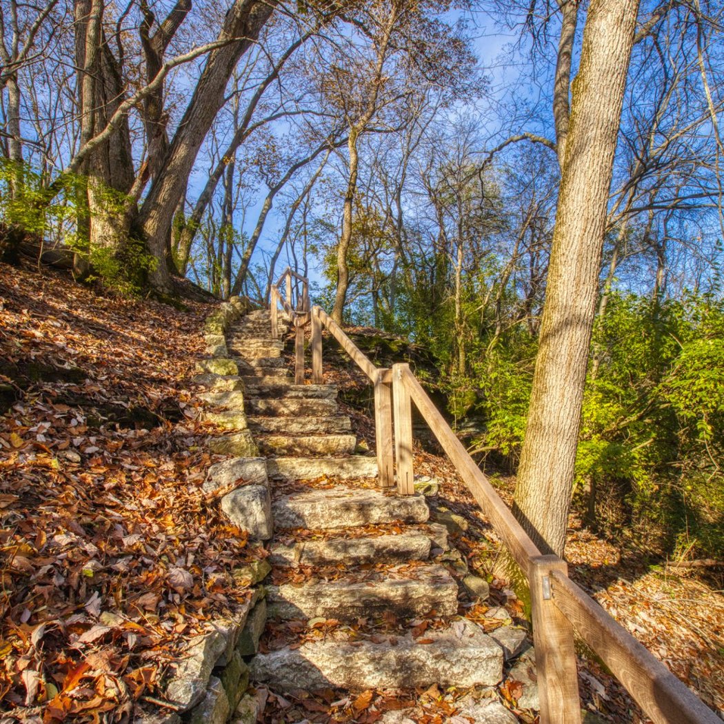 Fall Wildflower Hike 2