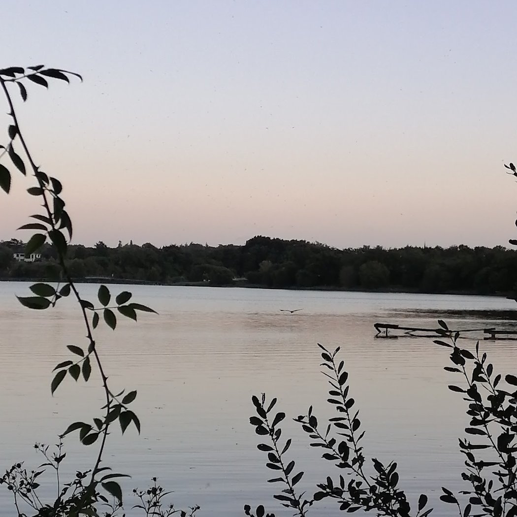 Etang de Pouancé 3