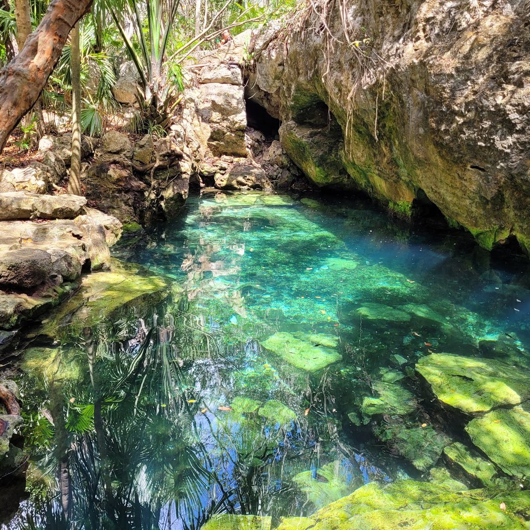 Cenote Azul 1