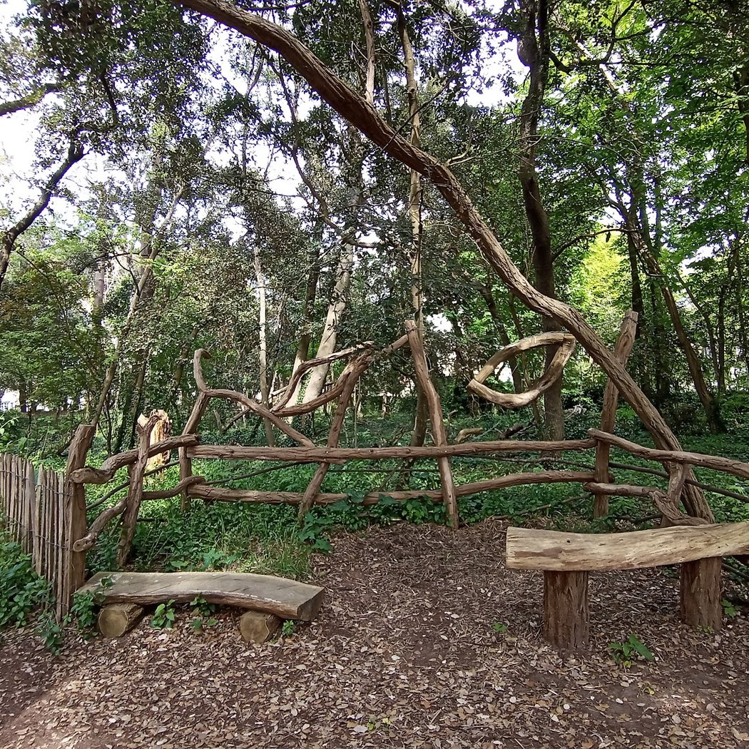 Evens Woods 2
