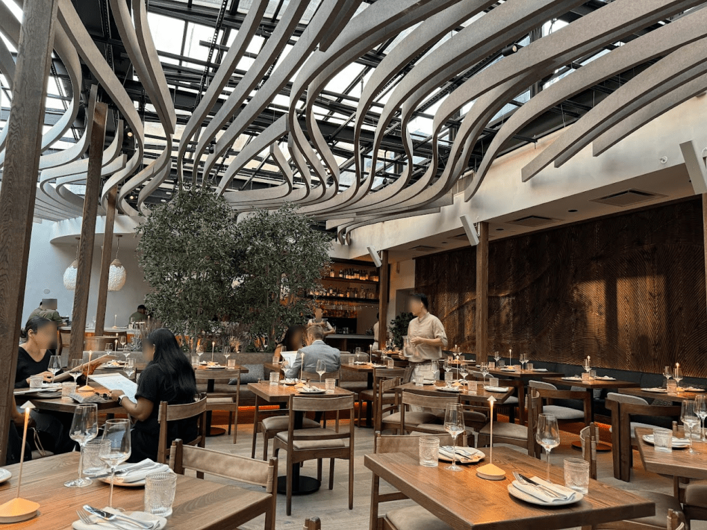 Mēdüzā Mediterrania New York 2