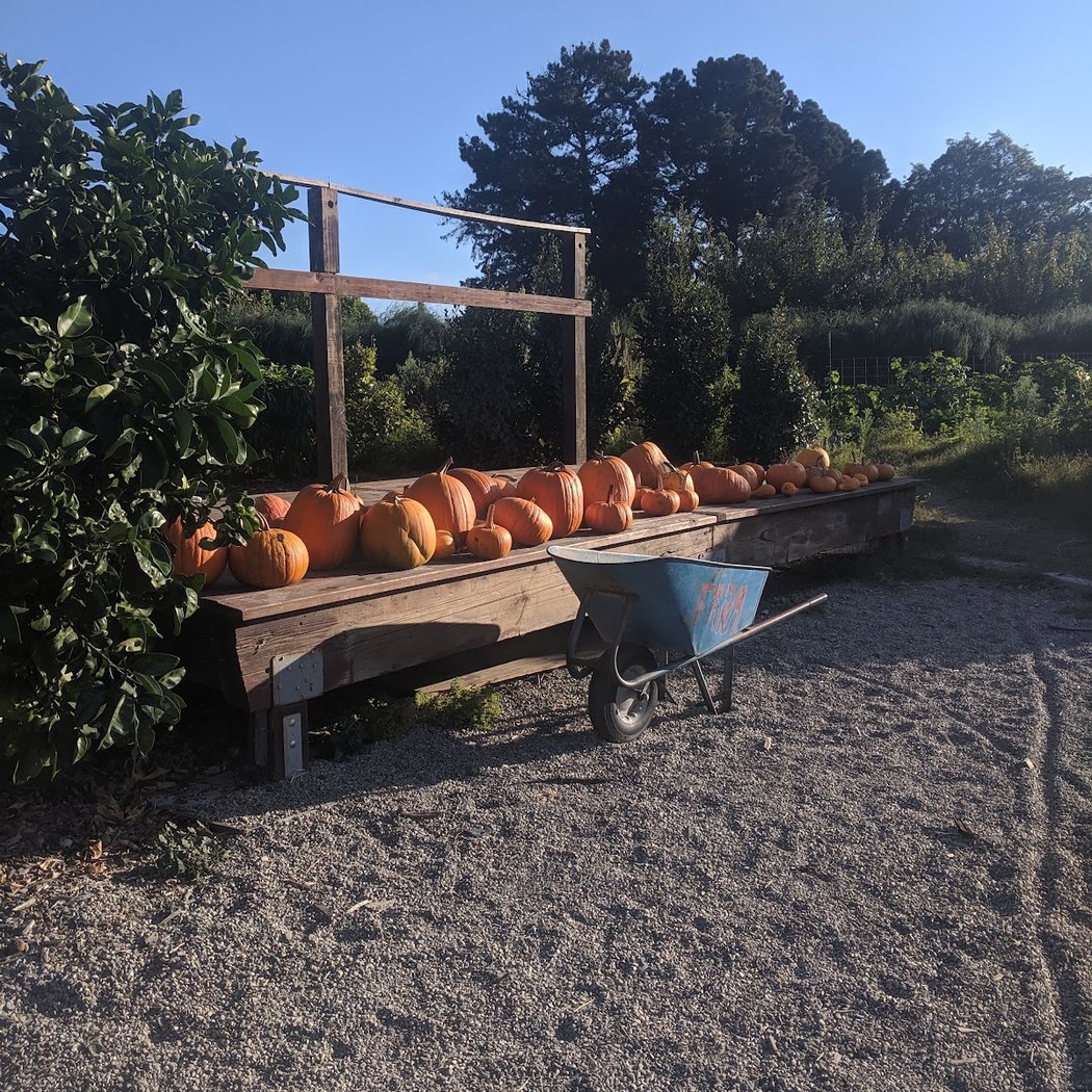 APC Farm2Market 3
