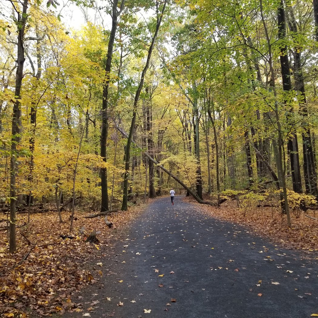 Tallman Mountain State Park 1