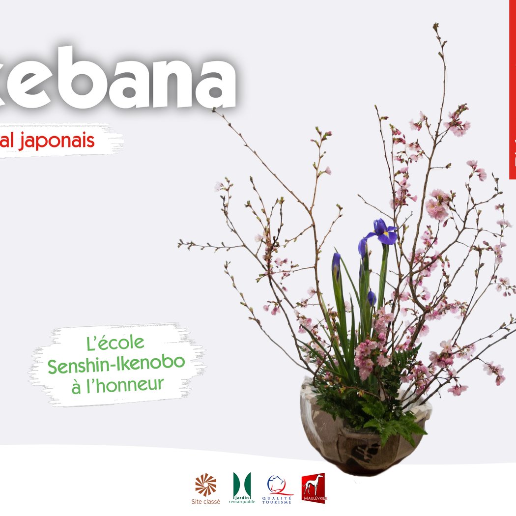 Ikebana 1