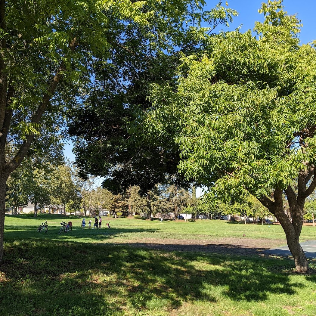 San Tomas Park 3