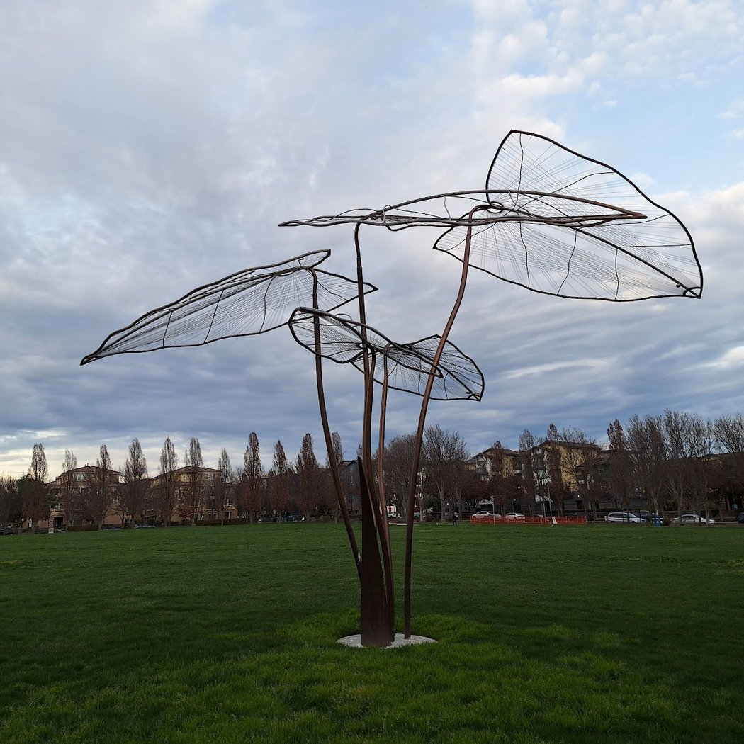 Bray Commons 2